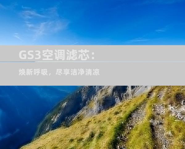 GS3空调滤芯：焕新呼吸，尽享洁净清凉