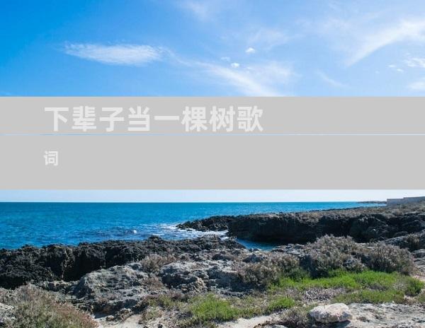 下辈子当一棵树歌词
