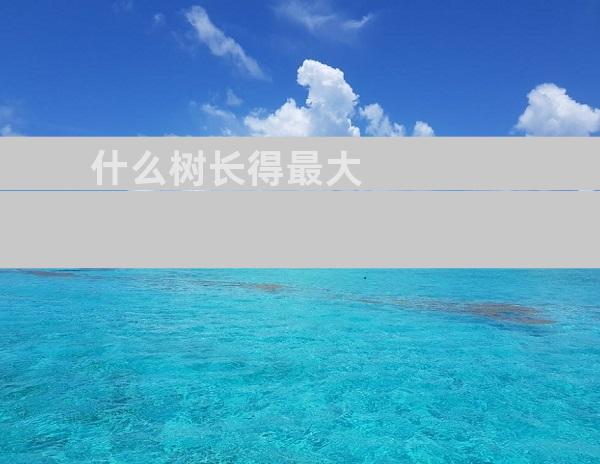 什么树长得最大