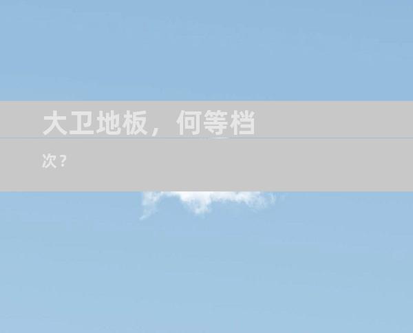 大卫地板，何等档次？