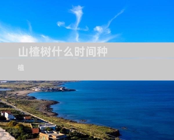 山楂树什么时间种植