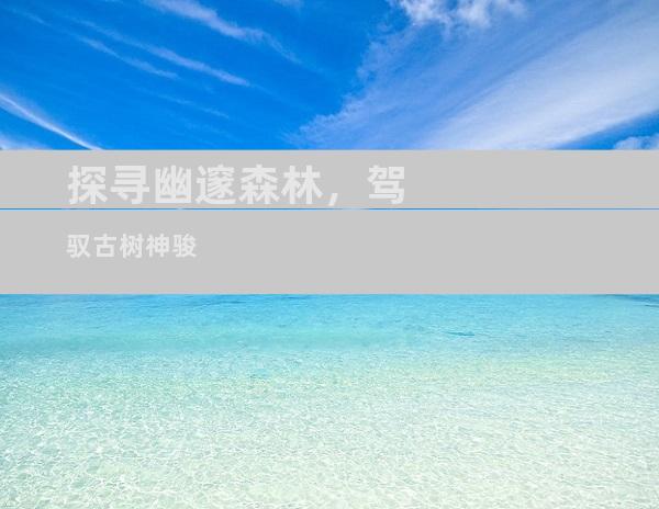 探寻幽邃森林，驾驭古树神骏