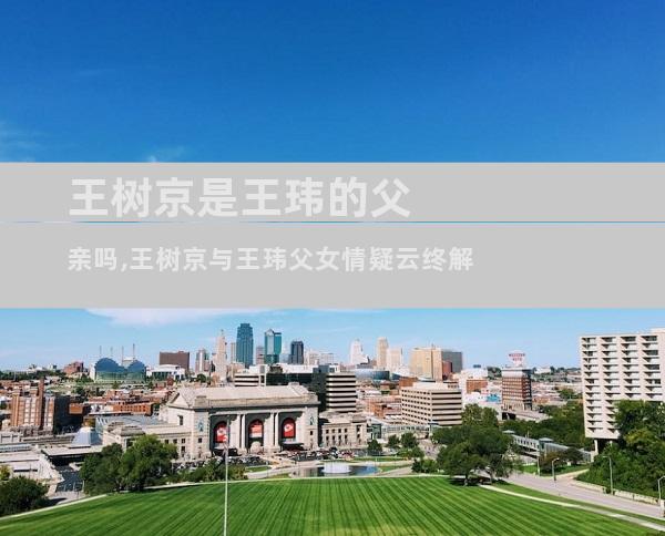 王树京是王玮的父亲吗,王树京与王玮父女情疑云终解
