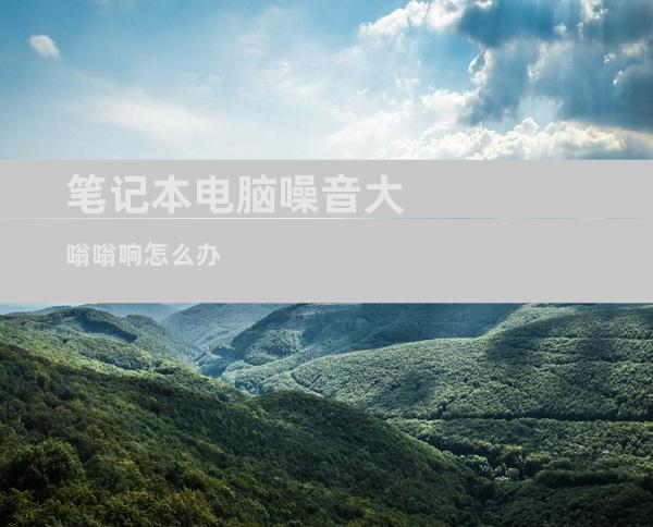 笔记本电脑噪音大嗡嗡响怎么办