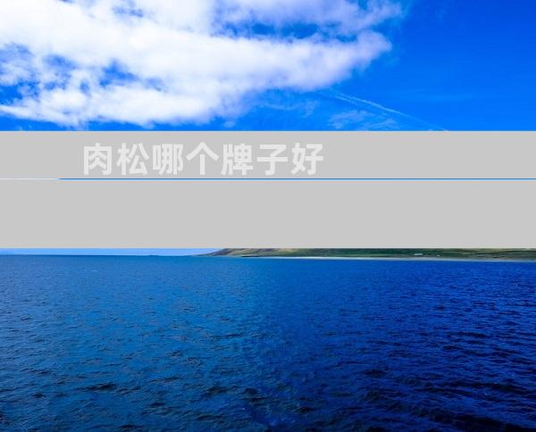 肉松哪个牌子好