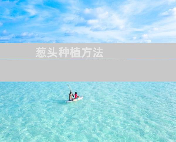 葱头种植方法